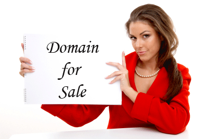 www.vnic.co-domain-for-sale